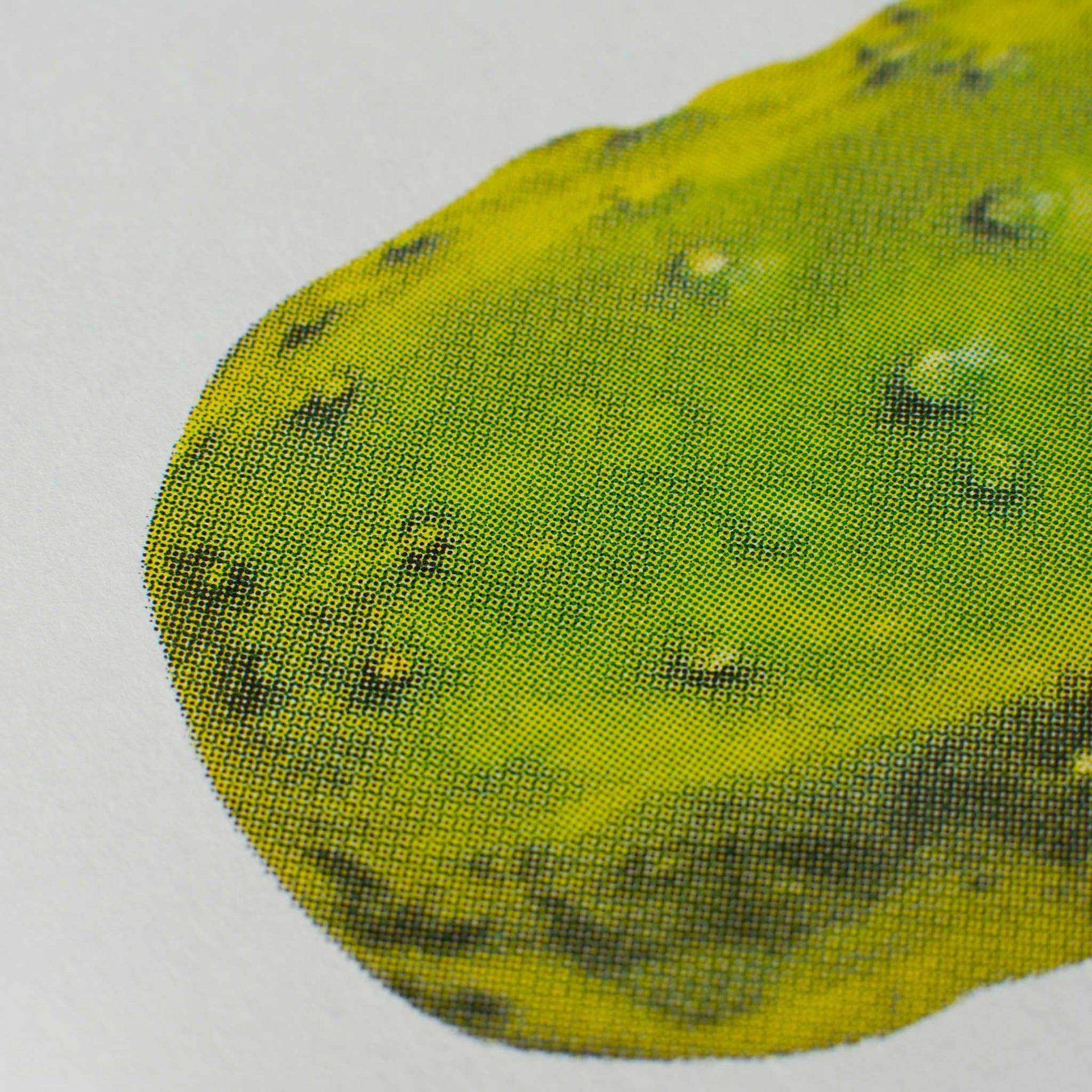 Artprint Pickle