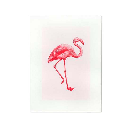 Artprint Flamant Rose Donkey CoinCaillerie