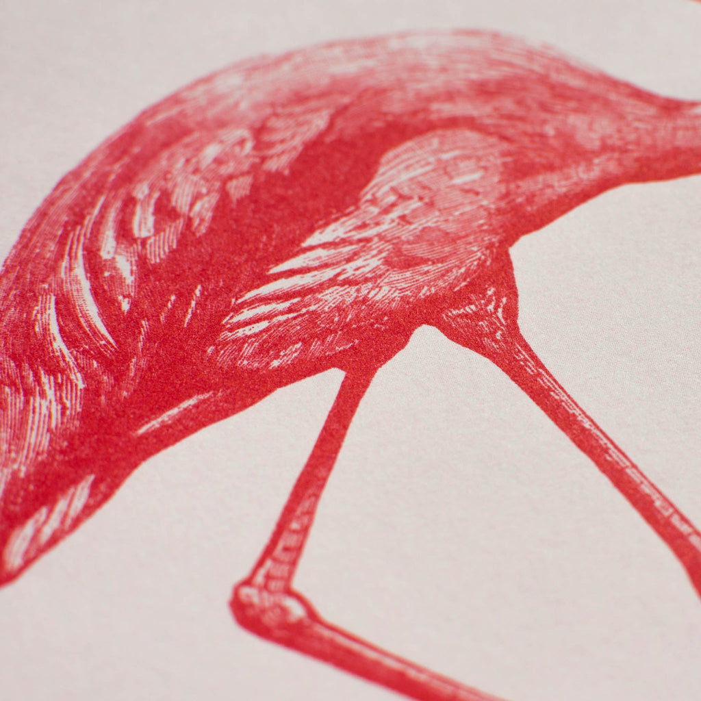 Print Flamingo roz
