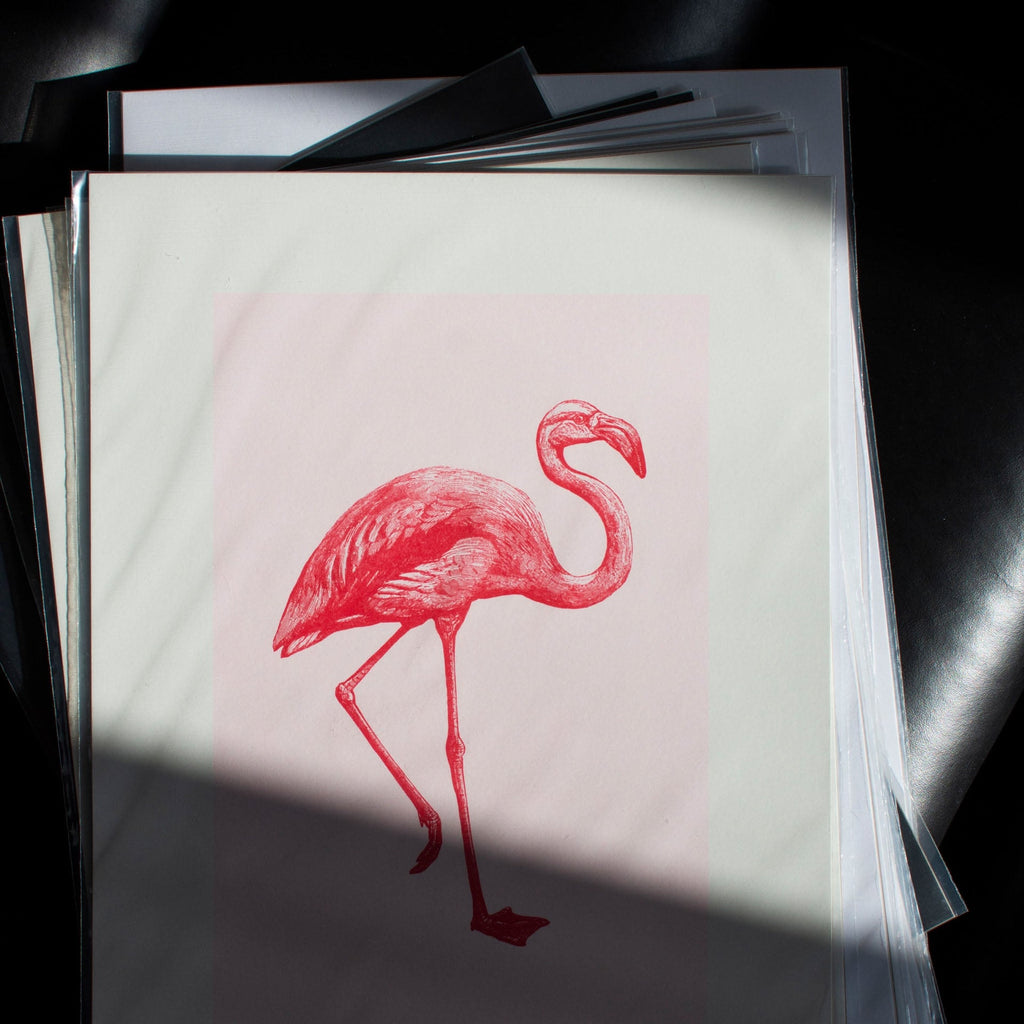 Print Flamingo roz