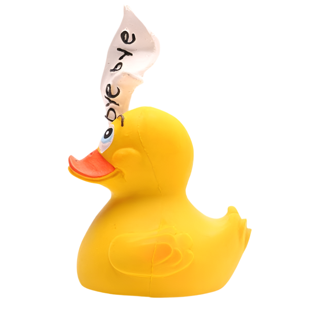 Canard Bye Bye