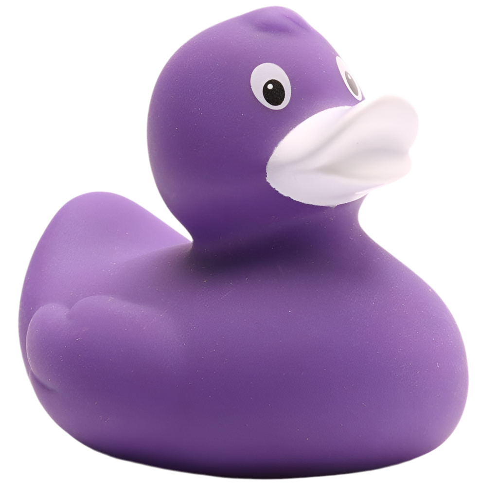 canard classique violet