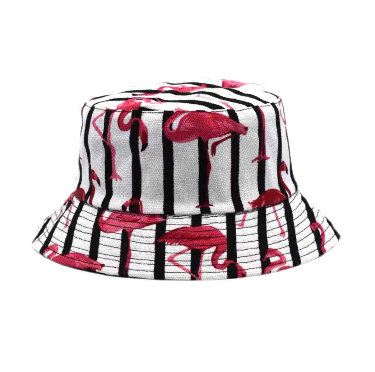 bob ray flamants roses mr colvert BOB FLAM 001 