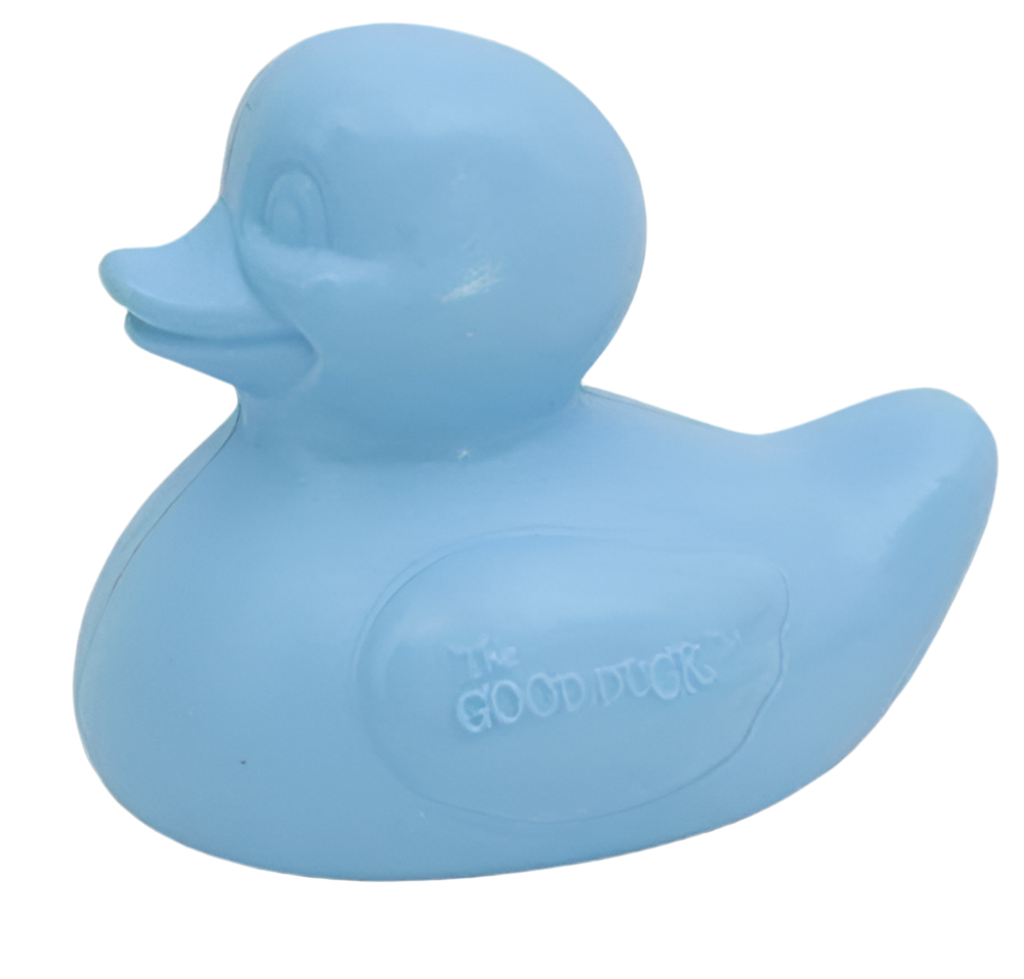 canard bleu the good duck celebriducks 