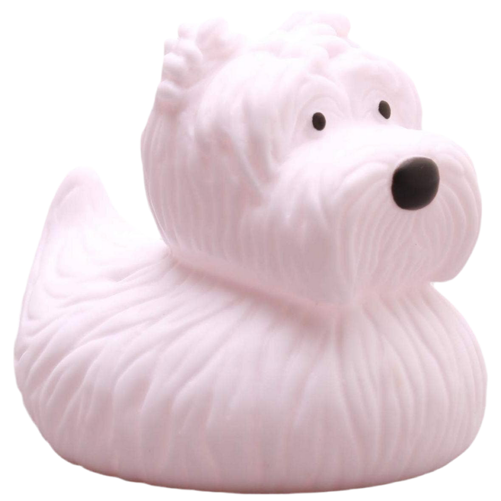 pato terrier ecossais elgate products
