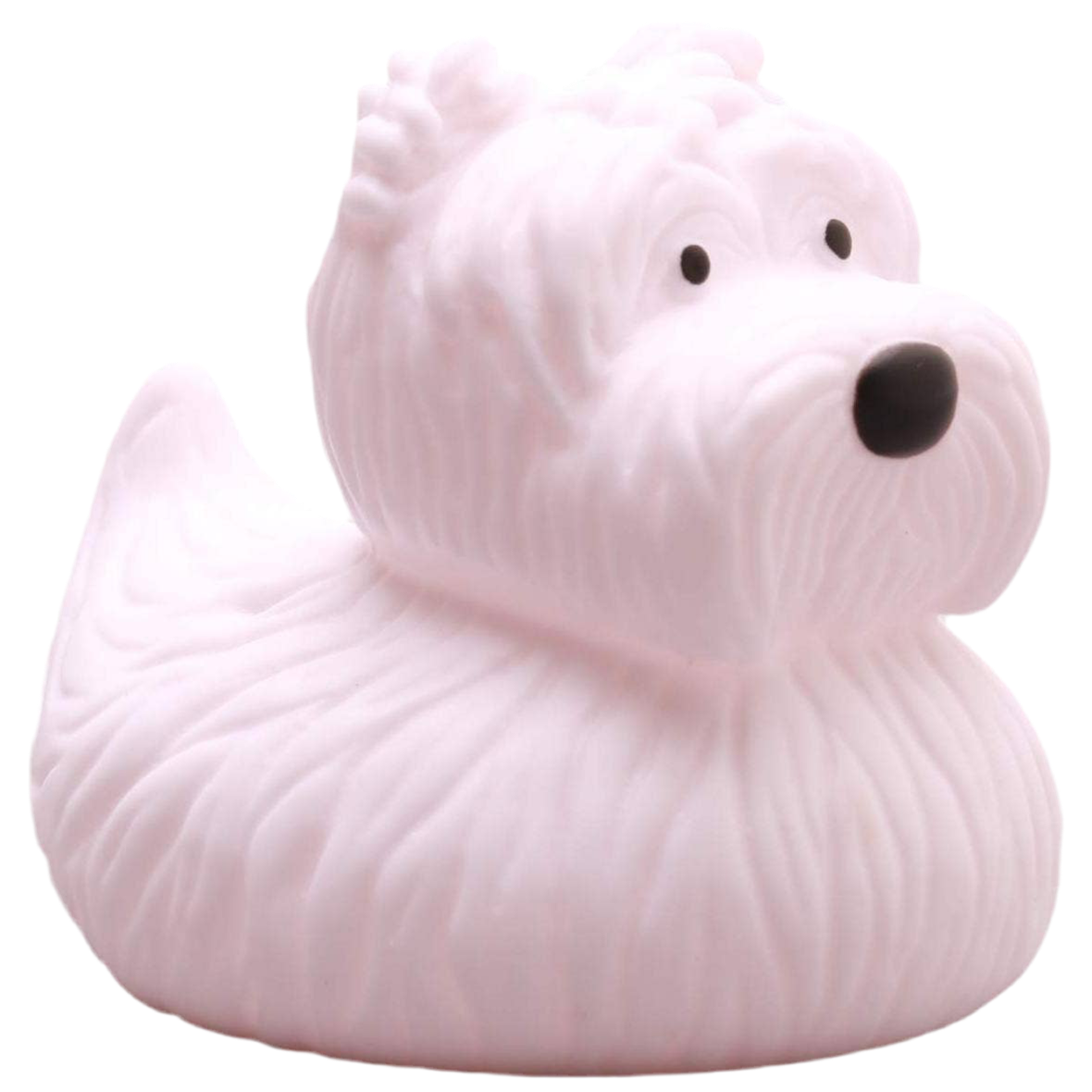 pato terrier ecossais elgate products