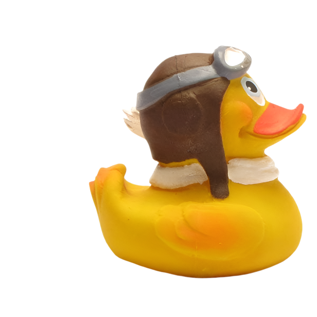 Canard Aviateur