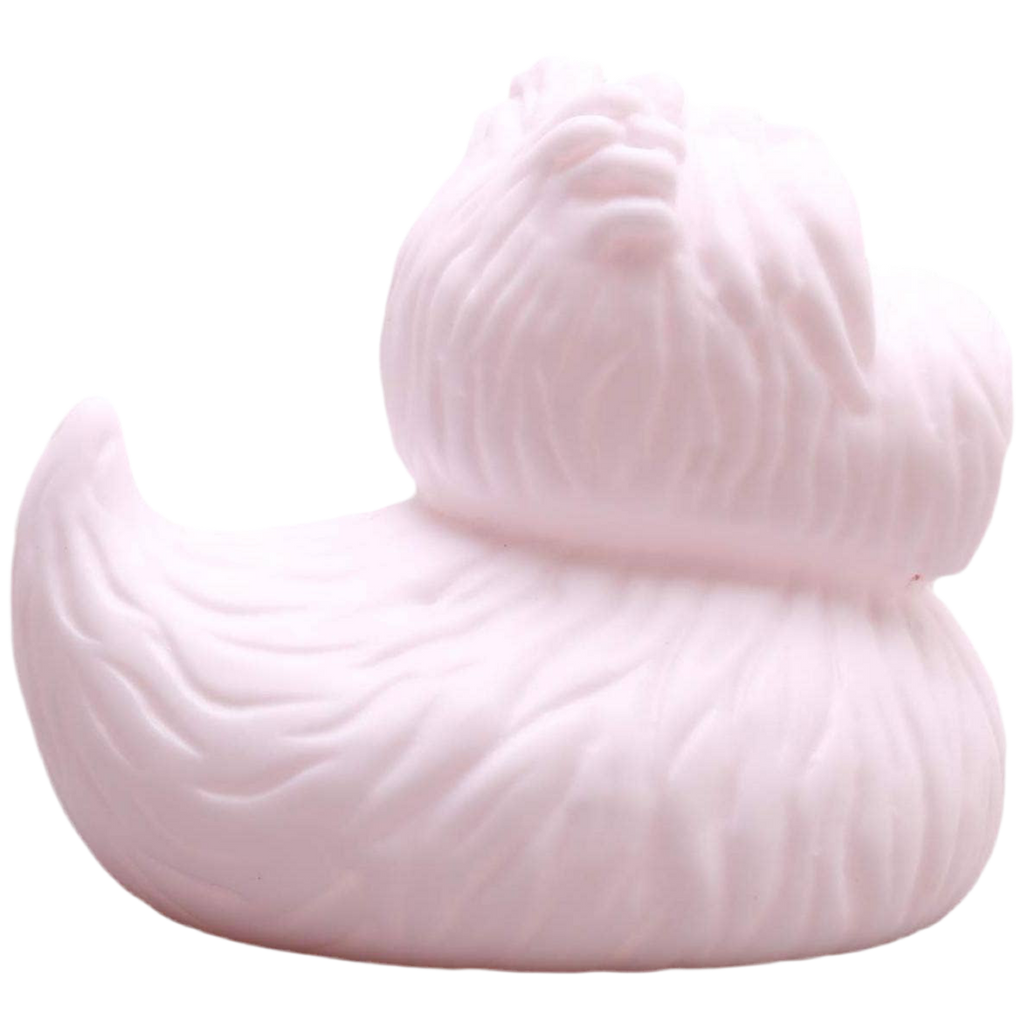 pato terrier ecossais elgate products