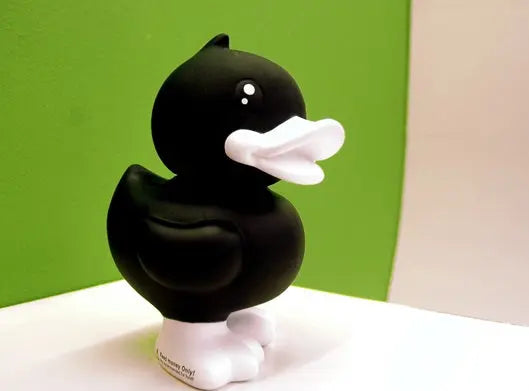 canard tirelire noir gm b duck 