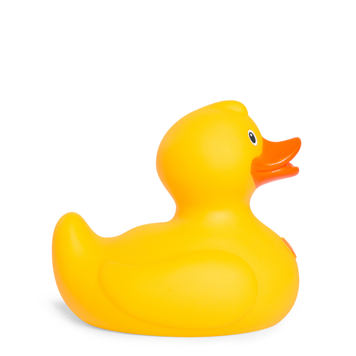 Canard Uno Bud Duck CoinCaillerie