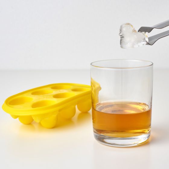 bac a glacons canard de bain 