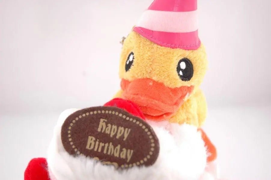boite canard joyeux anniversaire b duck 