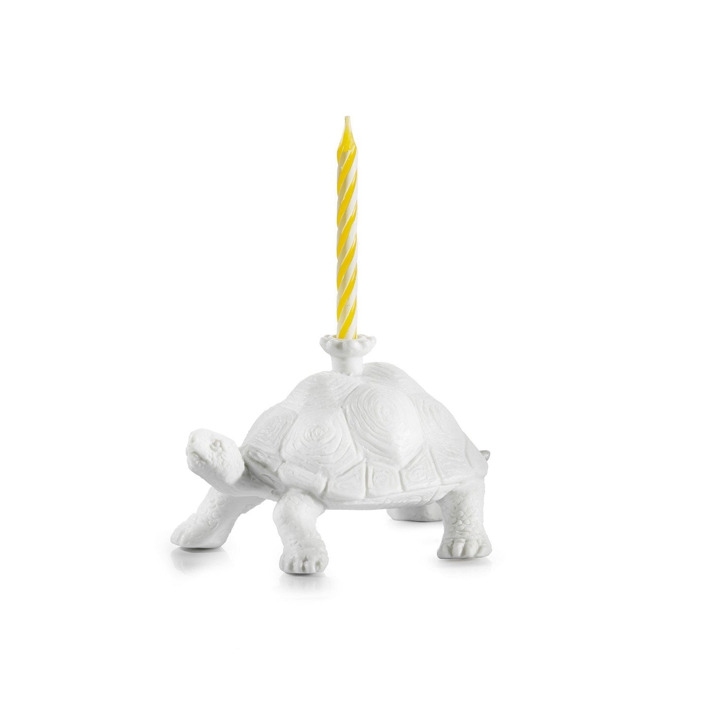 Bougeoir d'Anniversaire Tortue Donkey | Boutique d'objets cadeaux designs CoolDesign.fr