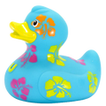 Canard Hawaïen