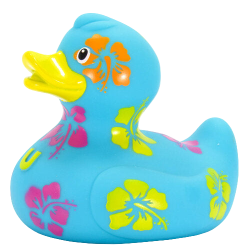 Canard Hawaïen