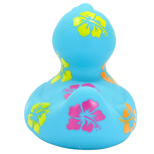 Canard Hawaïen