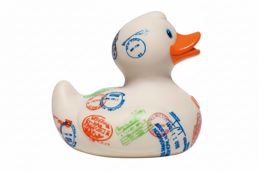 Anatra Internazionale