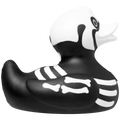 Canard Rayon X