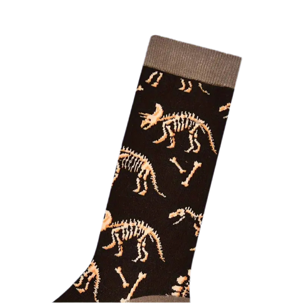 chaussettes fossiles de dinosaures mrcol SOX DINO 003 62156364
