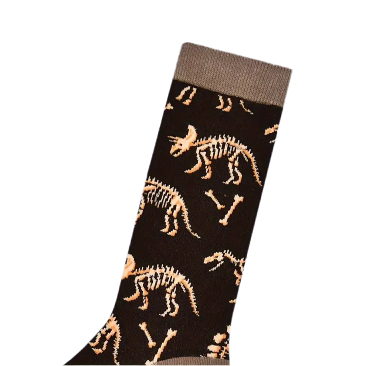 Chaussettes Squelette Dinosaure