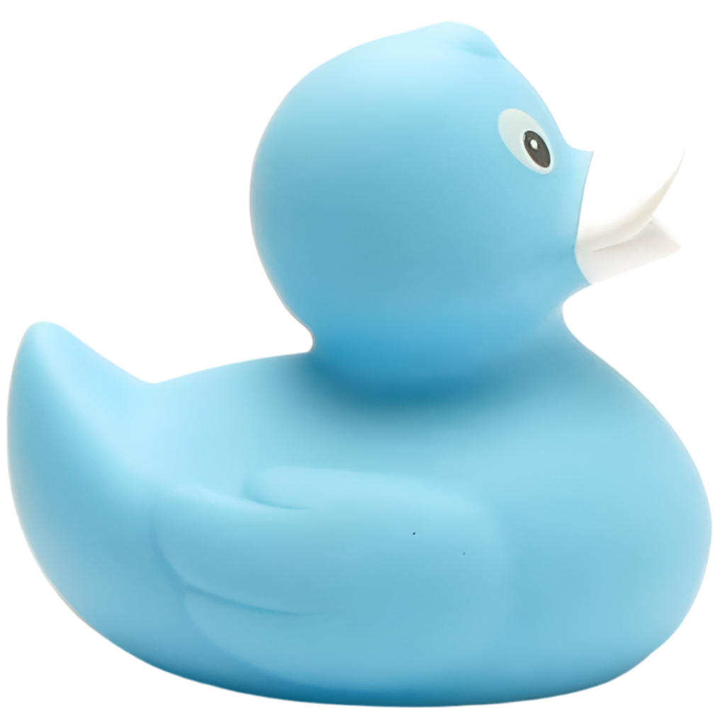 canard classique bleu ciel