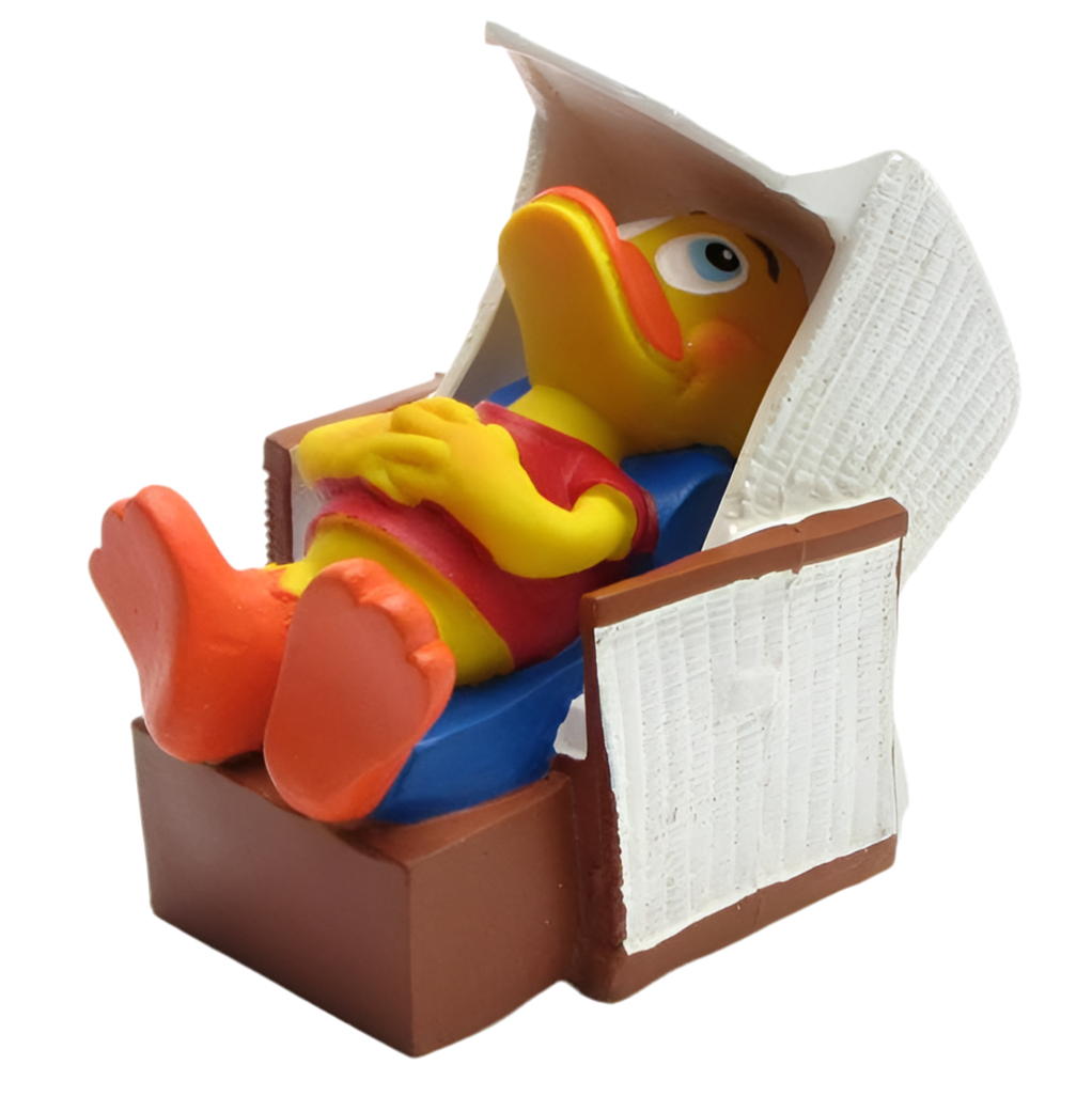 Canard Chaise de plage