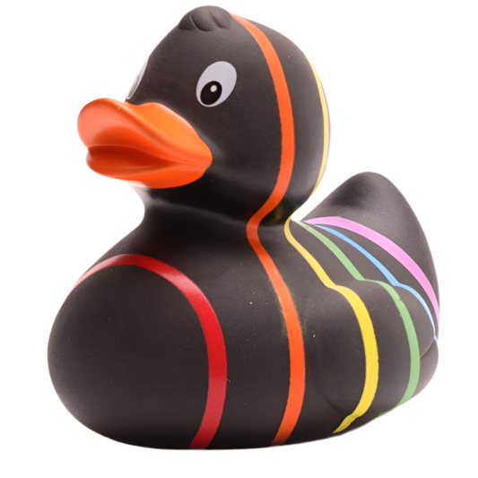 canard classique arc en ciel noir