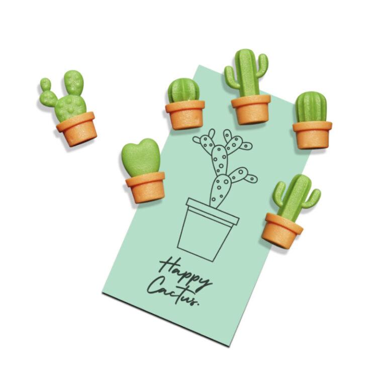 magnets cactus cacnet qualy 