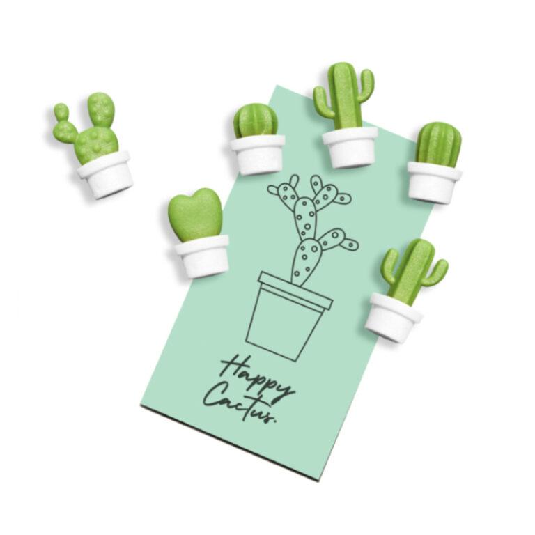 magnets cactus cacnet qualy 