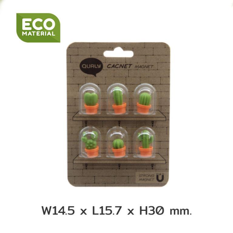 magnets cactus cacnet qualy 