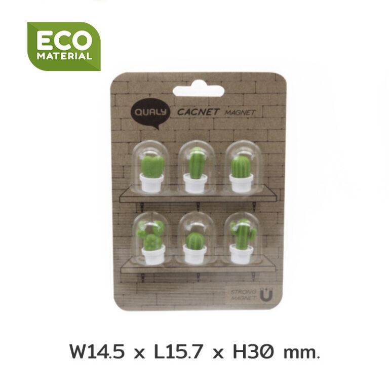 magnets cactus cacnet qualy 