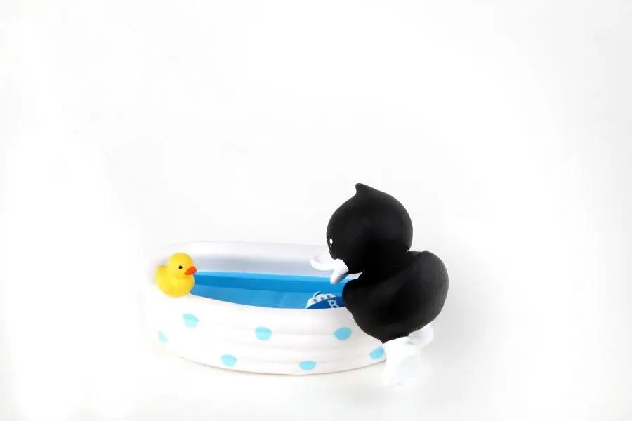 cadre photo pato negro b duck