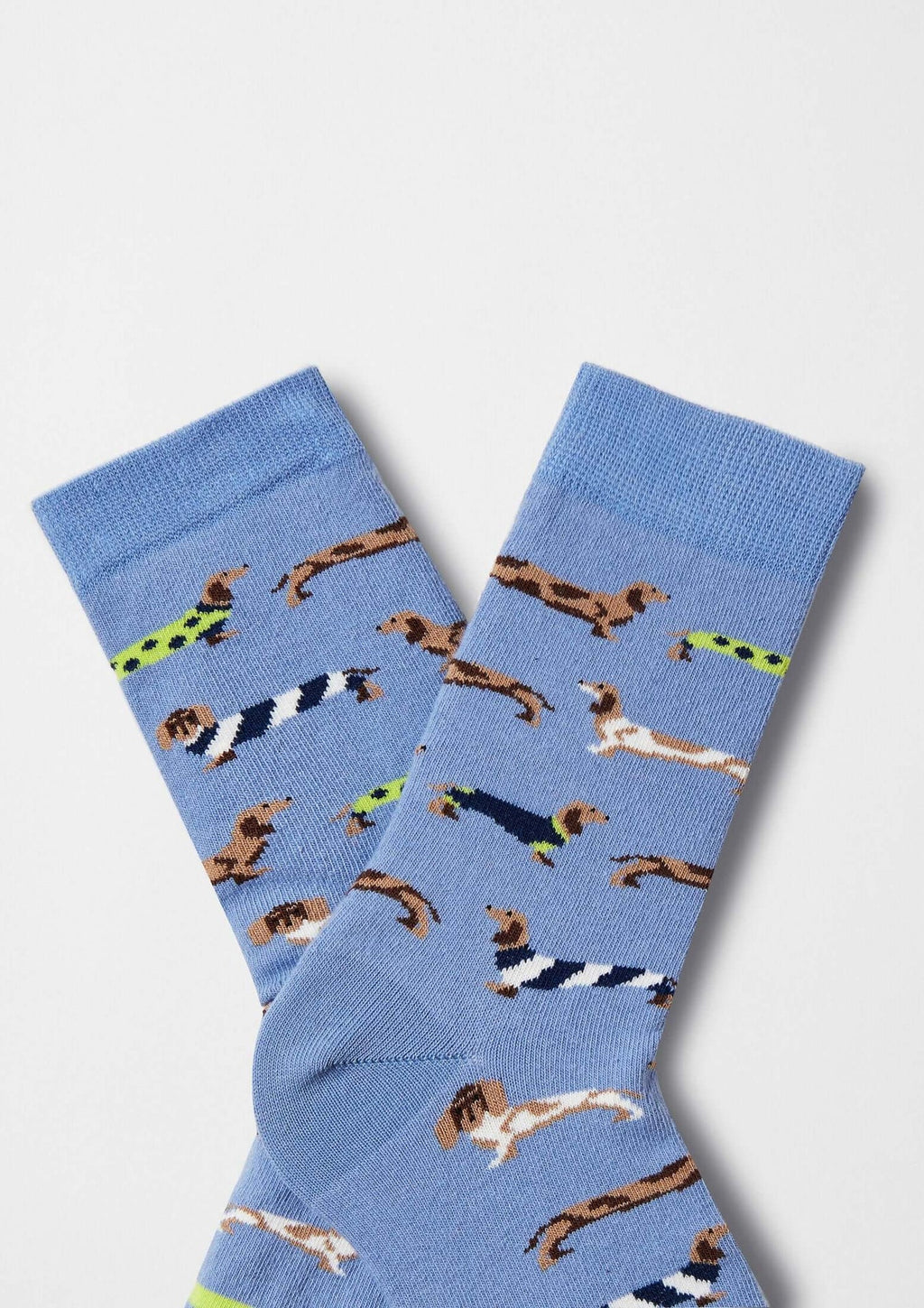 Calzini blu BePets con bassotti
