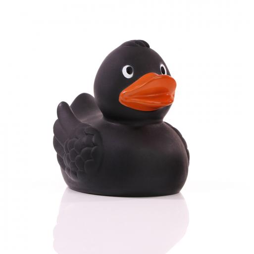 Canard uni avec ailes