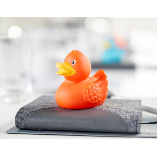Canard uni avec ailes