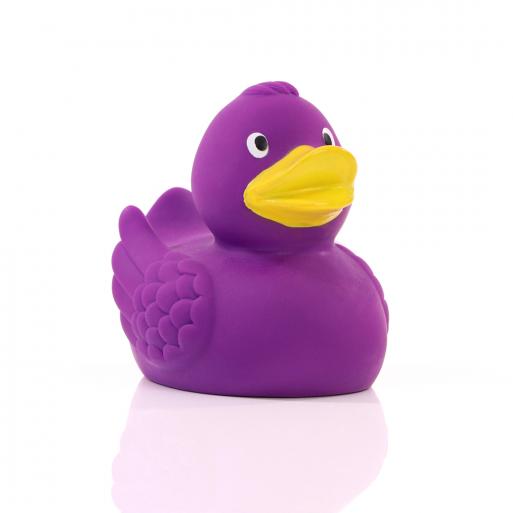 Canard Violet Schnabels CoinCaillerie