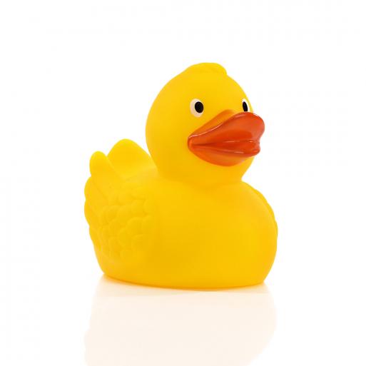 Canard uni avec ailes