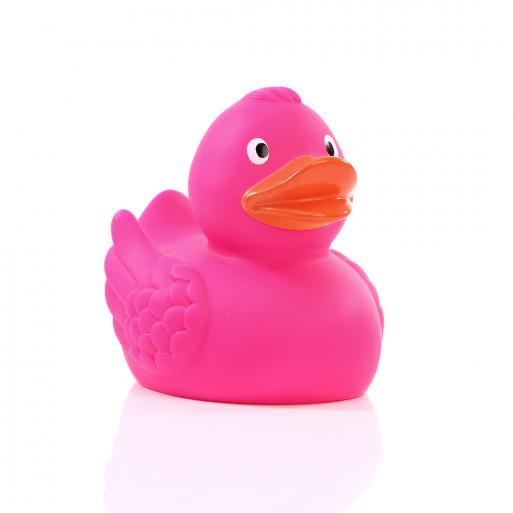 Canard Fuchsia Schnabels CoinCaillerie