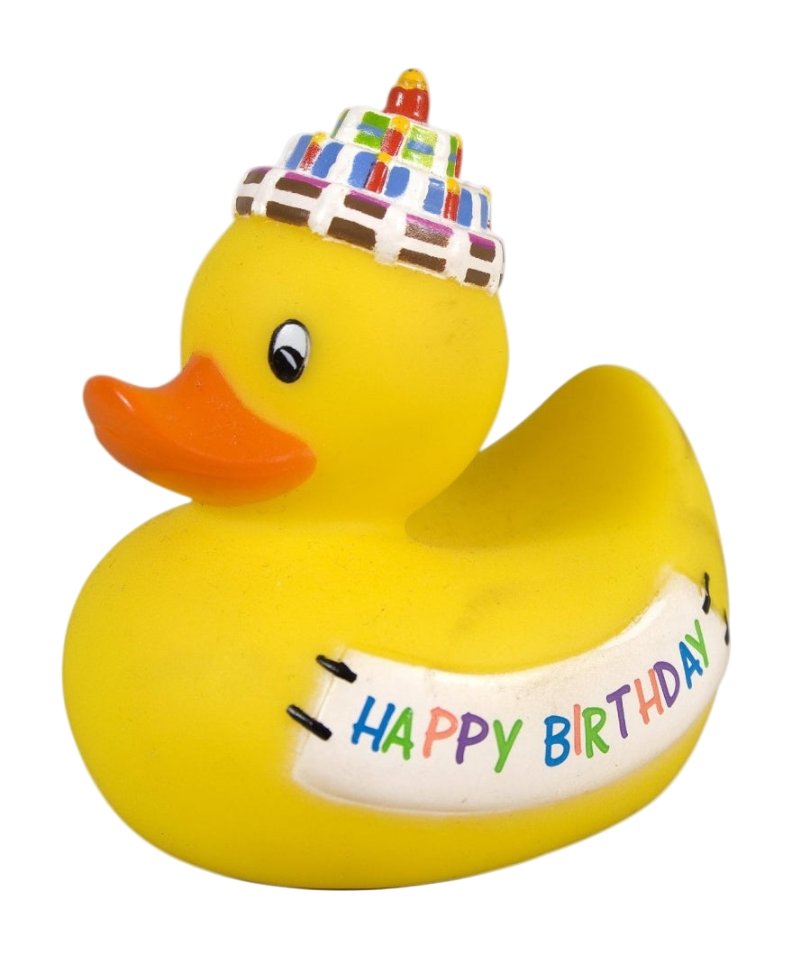 生日鸭