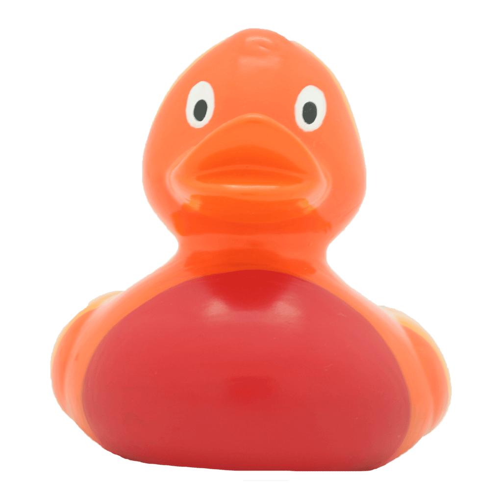 canard-arc-en-ciel-lilalu