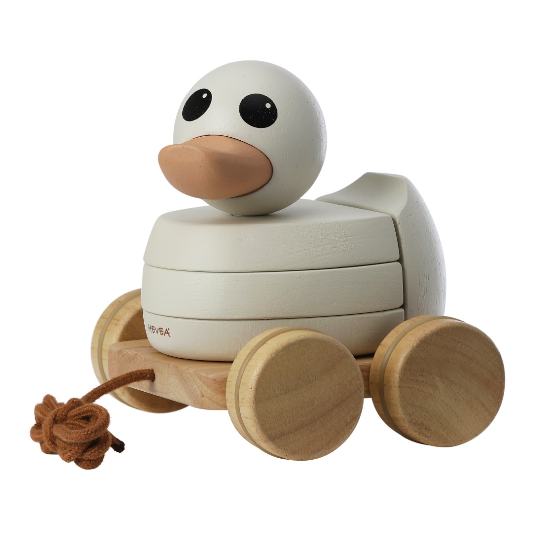 canard kawan rubberwood hevea 561206 03184375