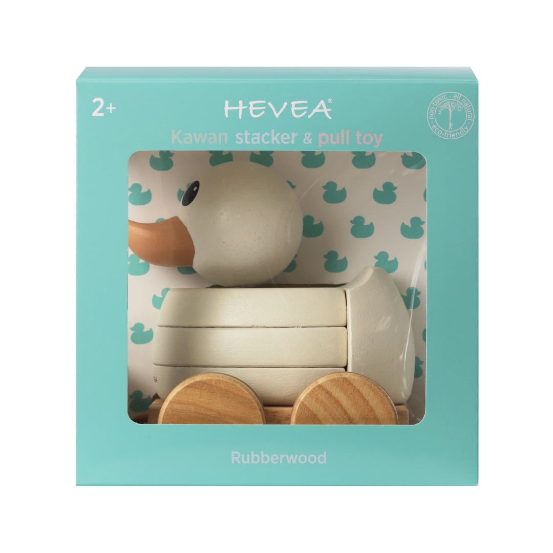 canard kawan rubberwood hevea 