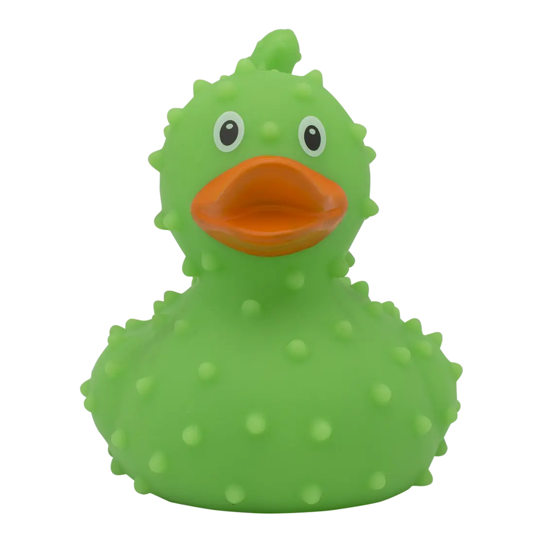 Canard Cactus Lilalu CoinCaillerie