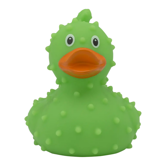 Canard Cactus Lilalu CoinCaillerie