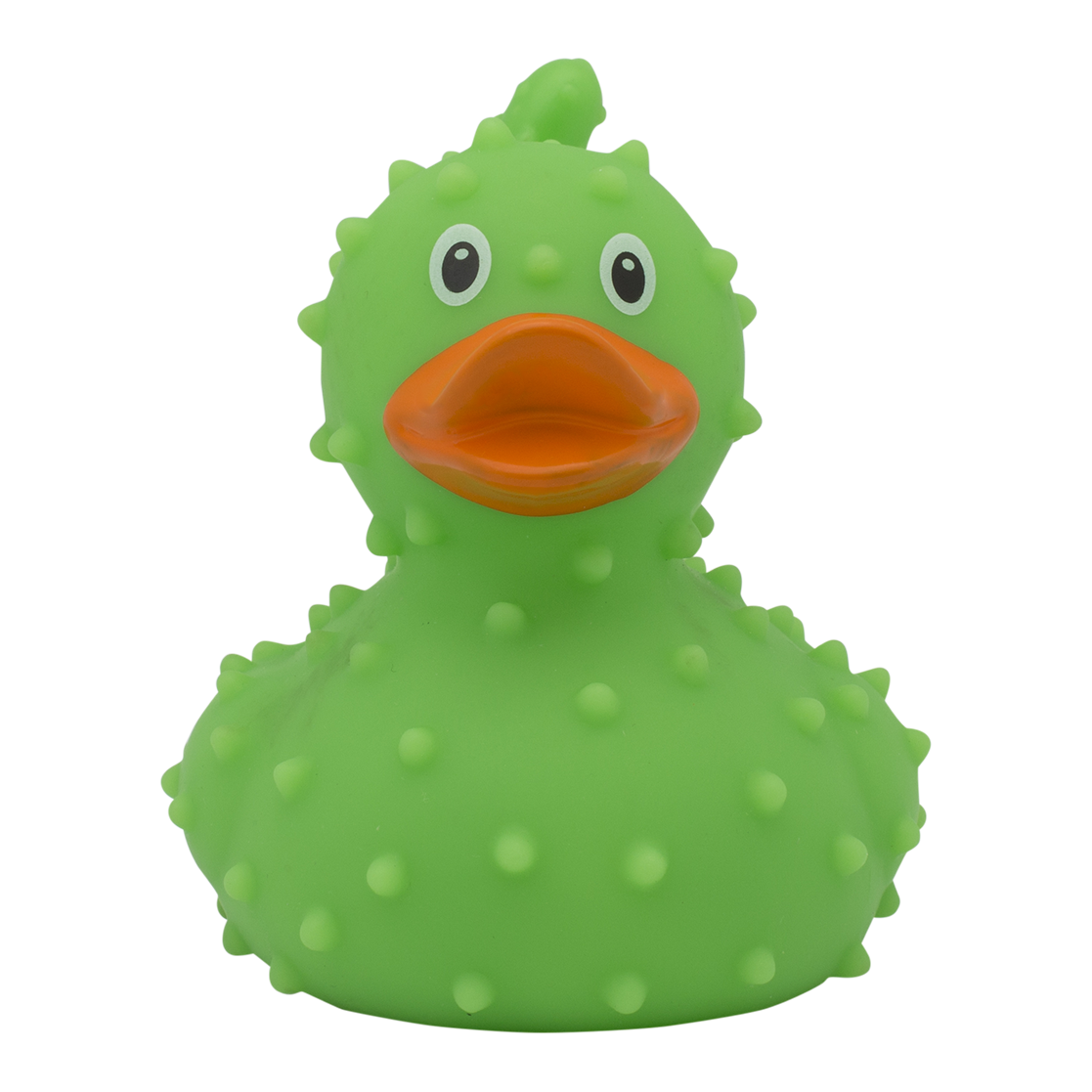 canard-cactus-lilalu