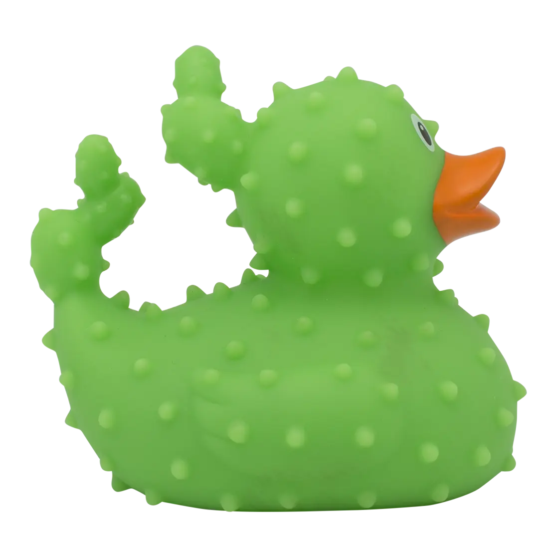 Canard Cactus Lilalu CoinCaillerie