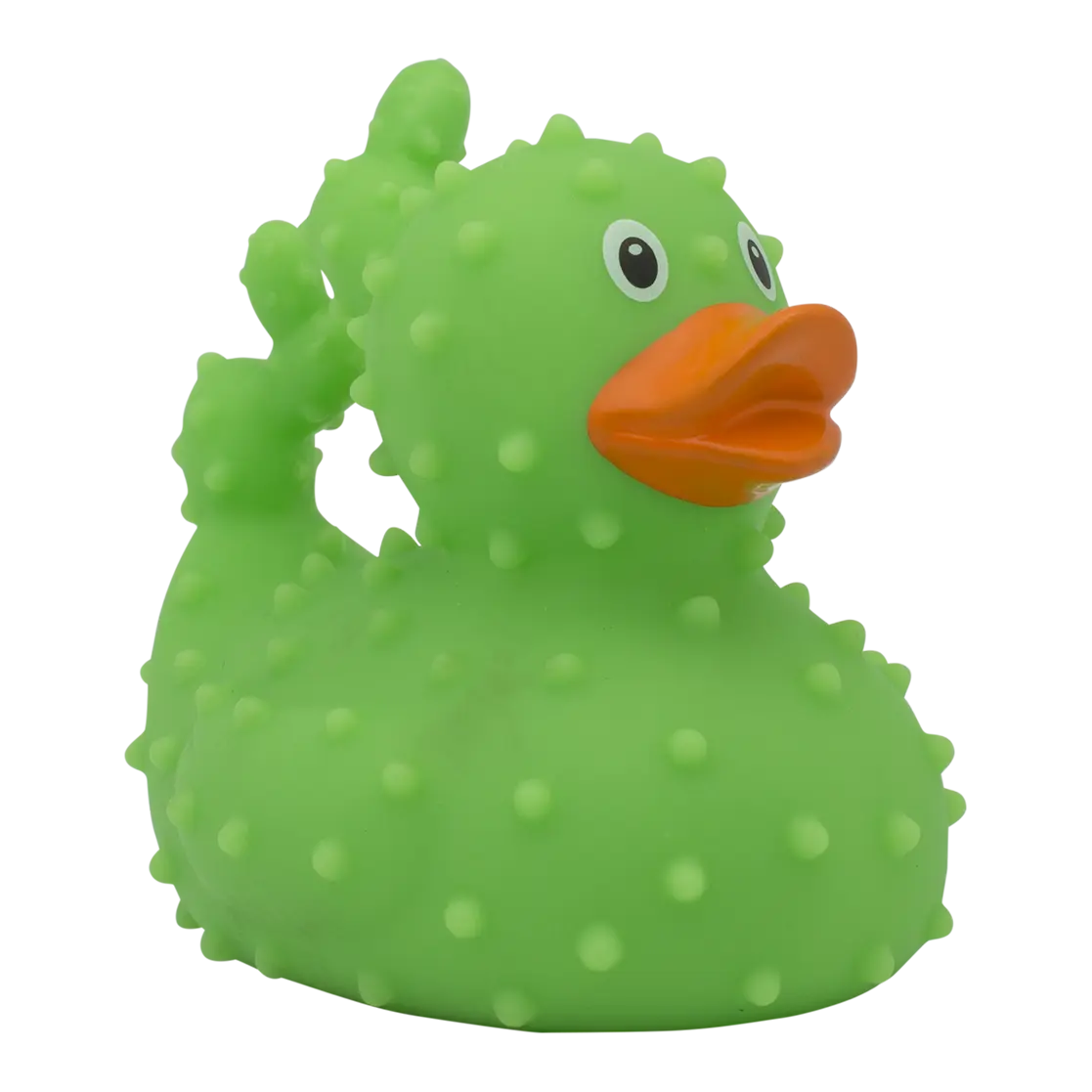 Canard Cactus Lilalu CoinCaillerie