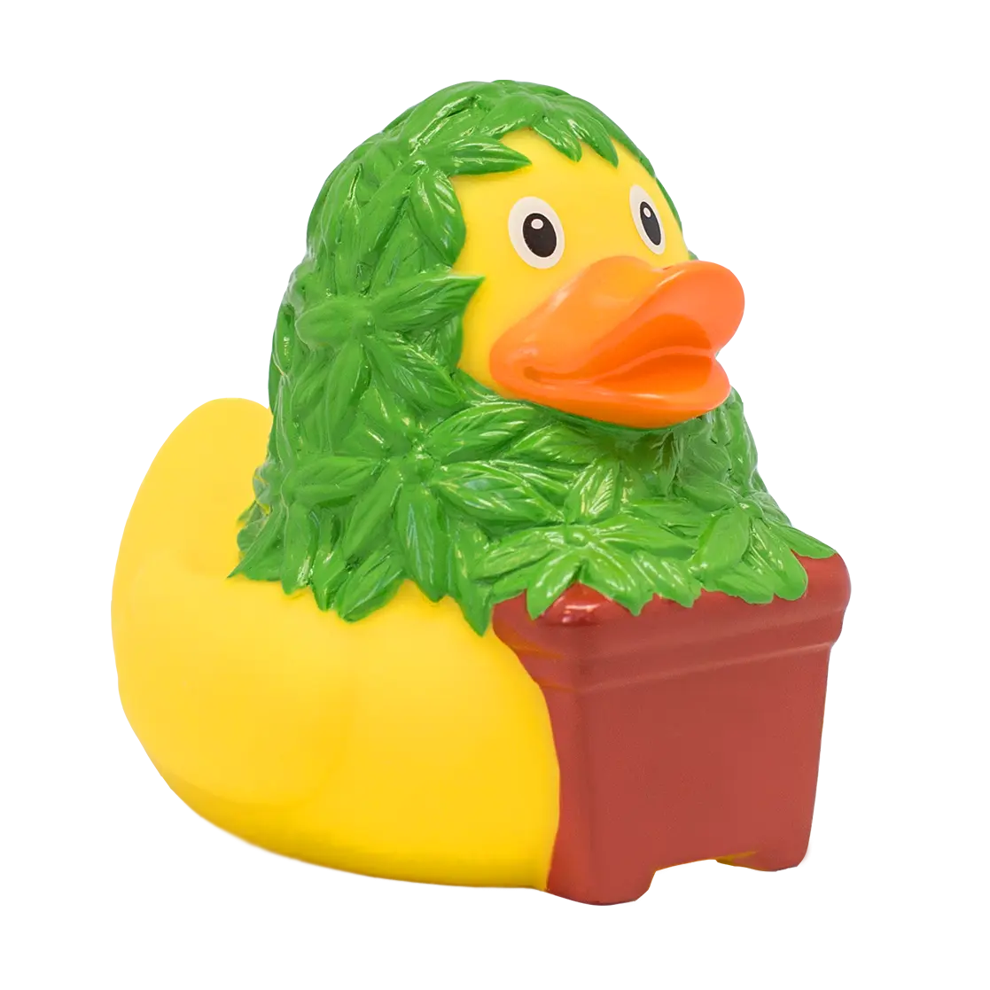 Canard Cannabis Lilalu CoinCaillerie