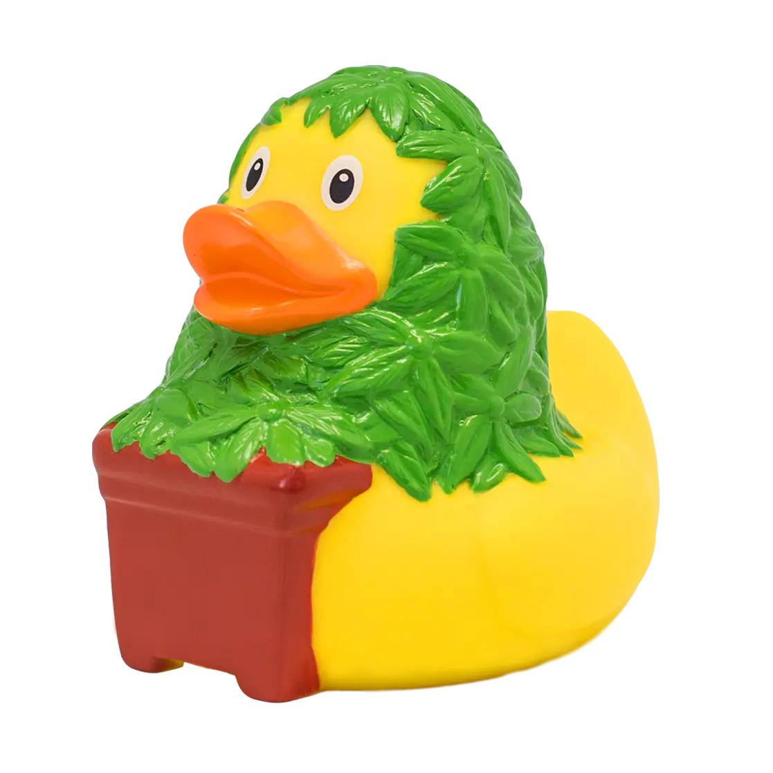 Canard Cannabis Lilalu CoinCaillerie