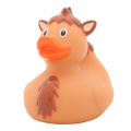 Canard Chameau